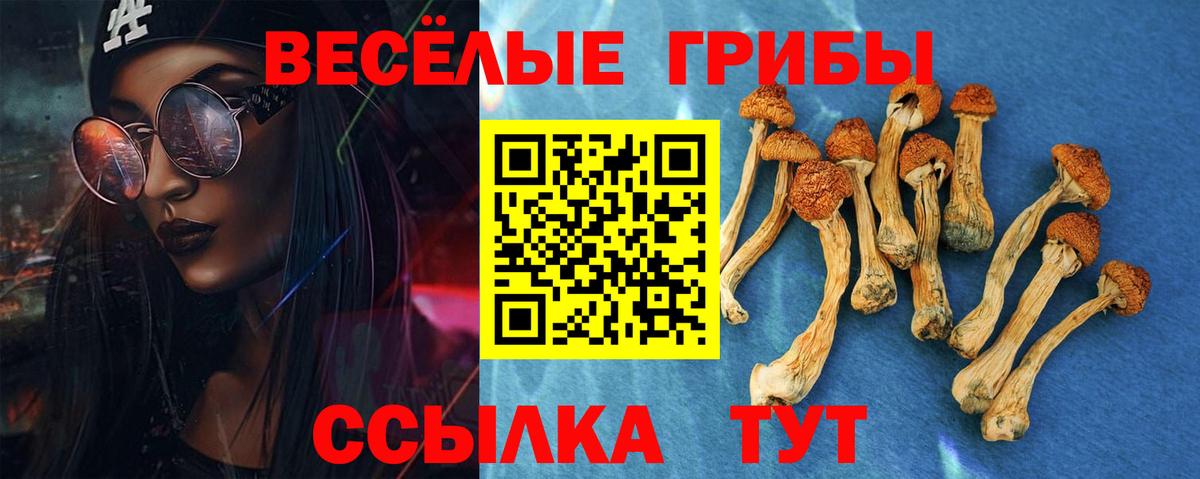 Меф МЯУ МЯУ   MDMA  Гашиш  Бошки Шишки  ЭКСТАЗИ  Новочебоксарск  Купить наркотик  Вход с VPN 