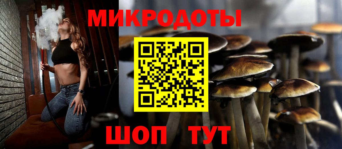 Галлюциногенные грибы GOLDEN TEACHER  Вход с VPN  Новочебоксарск 